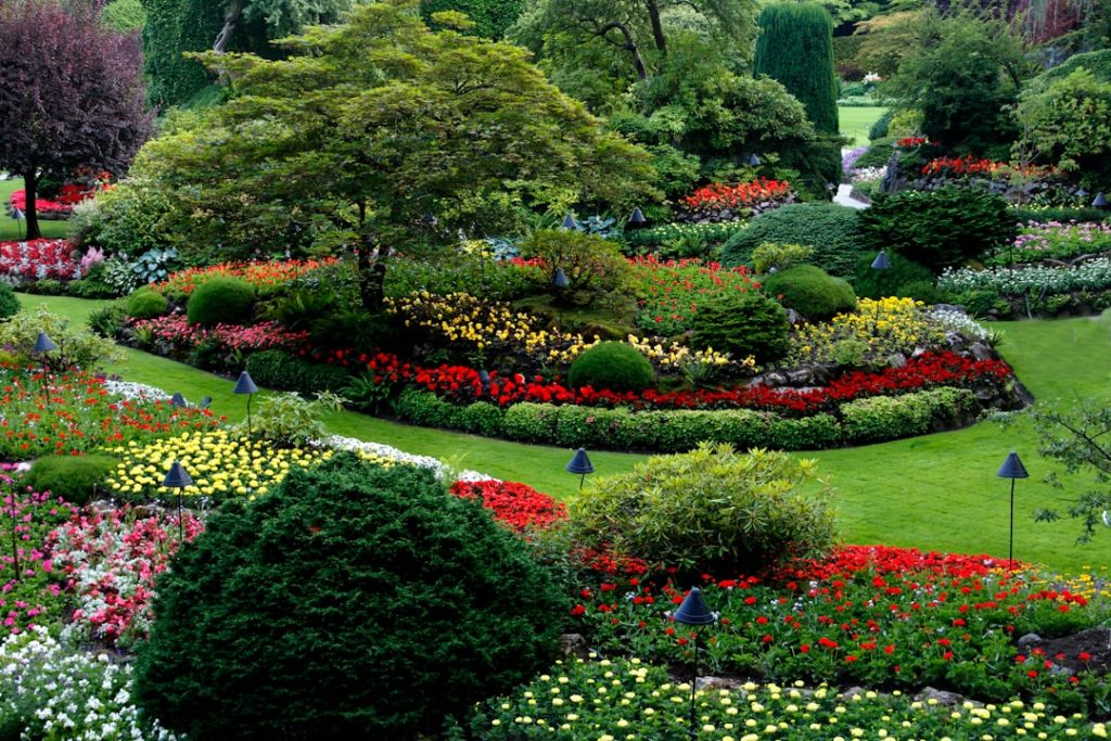 The Art of Drawing Readers In: Your attractive post title goes here This was the view of Bushart Gardens in Victoria, BC, Canada in July from a hill.